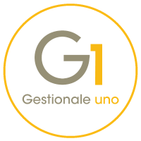 gestionale1.png - 9.34 kb